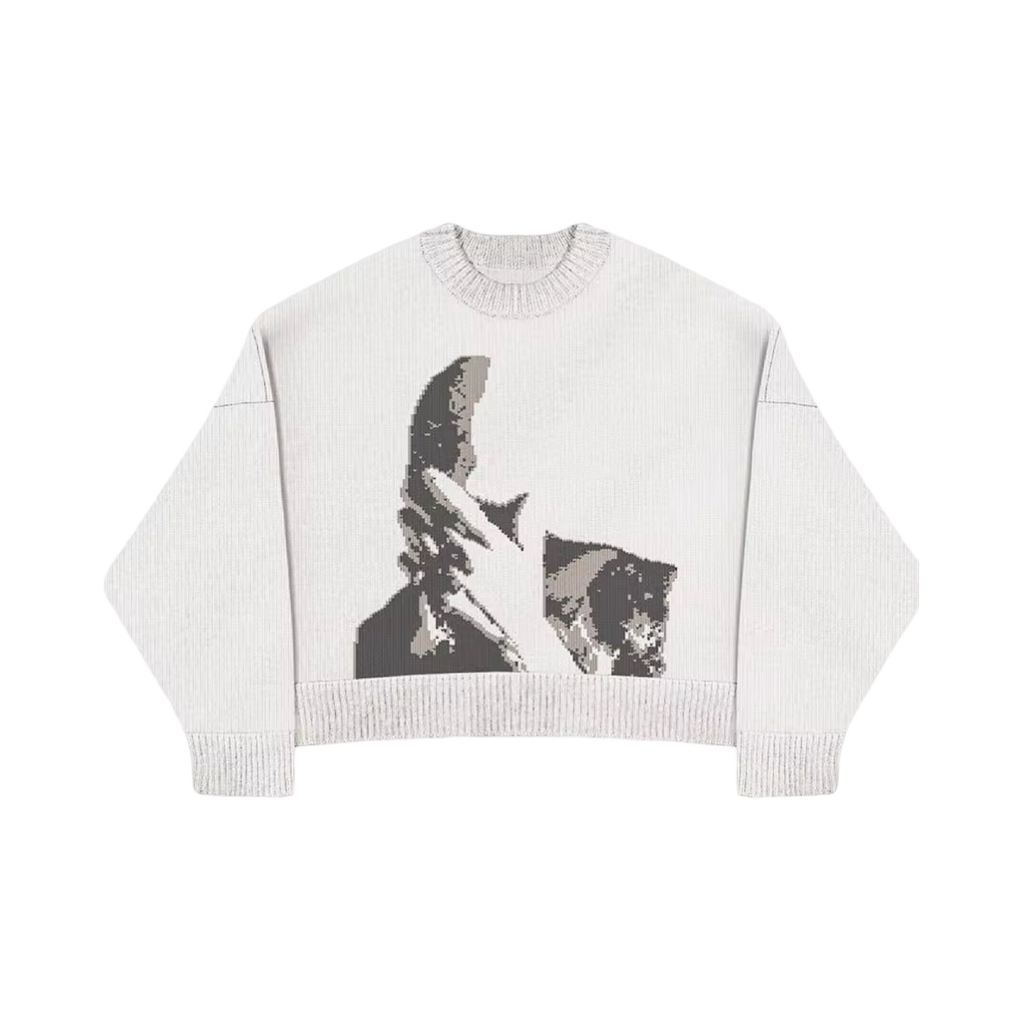 The ‘No face no case’ Jumper